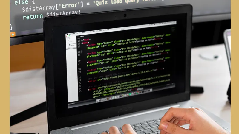 Programinės įrangos gamintojams